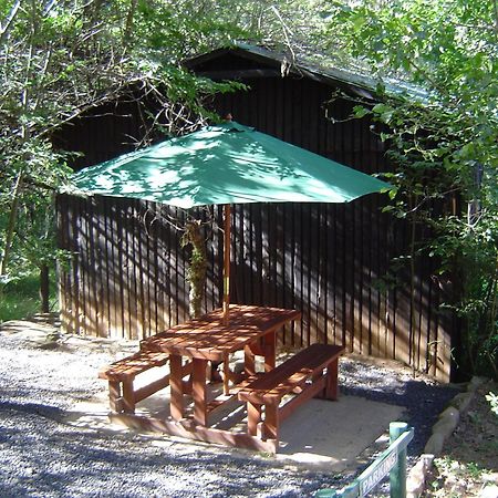 Forest Creek Lodge & Spa Дълстроом Екстериор снимка