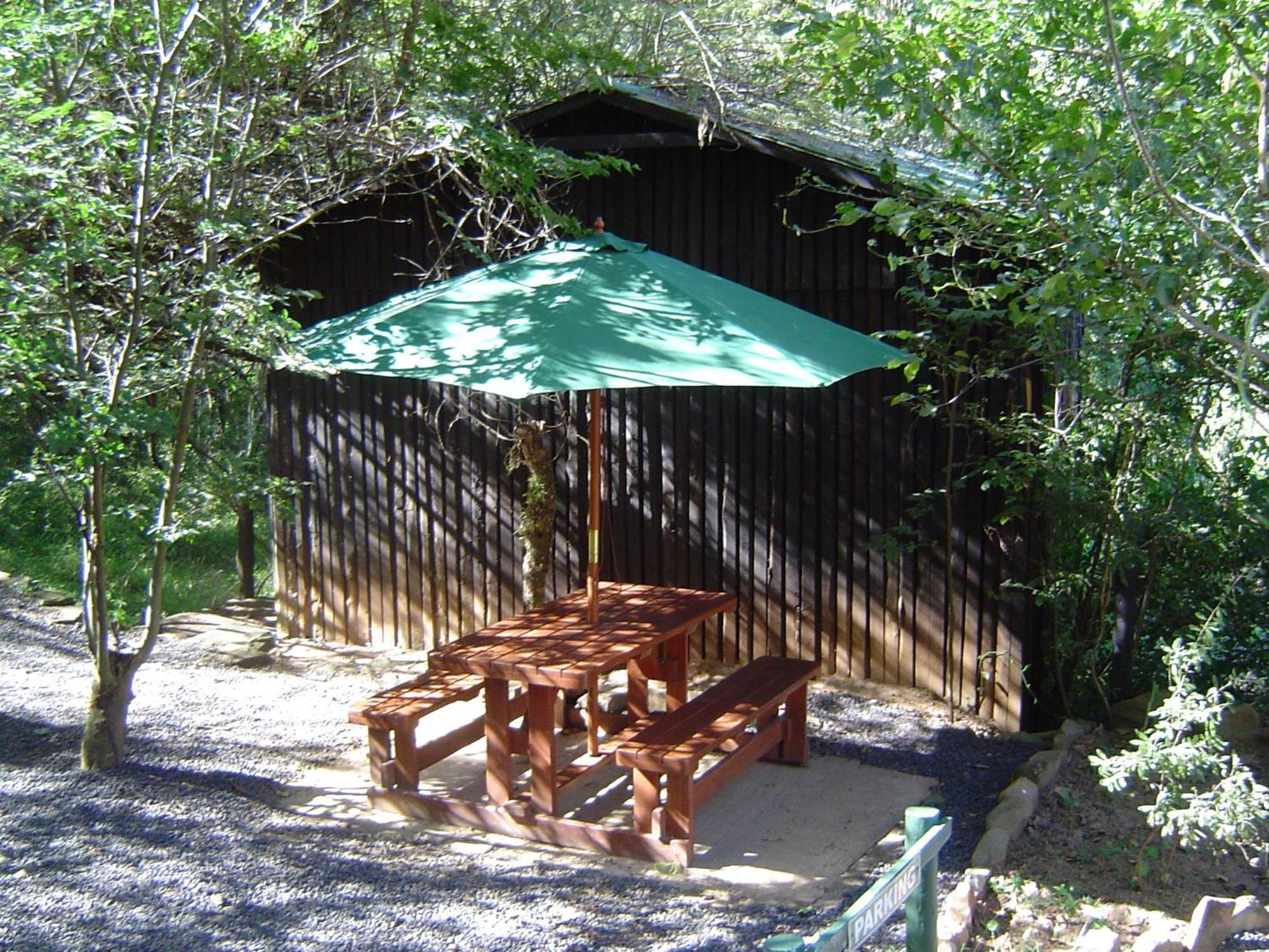 Forest Creek Lodge & Spa Дълстроом Екстериор снимка