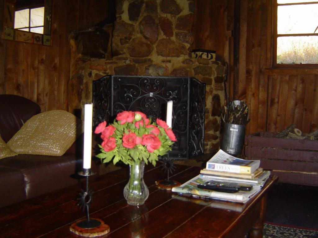 Forest Creek Lodge & Spa Дълстроом Стая снимка